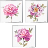 Framed 'Obviously Pink 3 Piece Canvas Print Set' border=