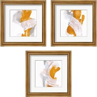 Framed Amber Wash 3 Piece Framed Art Print Set