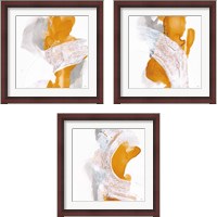 Framed 'Amber Wash 3 Piece Framed Art Print Set' border=