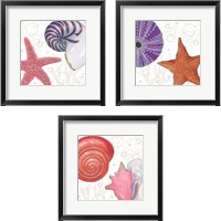 Framed Shimmering Shells 3 Piece Framed Art Print Set