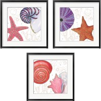 Framed 'Shimmering Shells 3 Piece Framed Art Print Set' border=