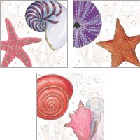 Framed 'Shimmering Shells 3 Piece Art Print Set' border=