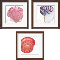 Framed Shimmering Shells 3 Piece Framed Art Print Set