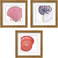 Framed Shimmering Shells 3 Piece Framed Art Print Set