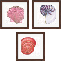 Framed 'Shimmering Shells 3 Piece Framed Art Print Set' border=
