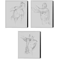 Framed 'Male Torso Sketch 3 Piece Canvas Print Set' border=