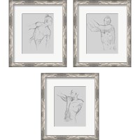 Framed 'Male Torso Sketch 3 Piece Framed Art Print Set' border=