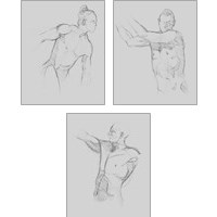 Framed 'Male Torso Sketch 3 Piece Art Print Set' border=