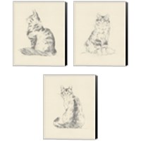 Framed 'House Cat 3 Piece Canvas Print Set' border=