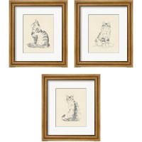 Framed House Cat 3 Piece Framed Art Print Set