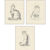 Framed House Cat 3 Piece Art Print Set