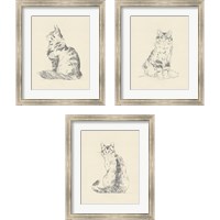 Framed 'House Cat 3 Piece Framed Art Print Set' border=