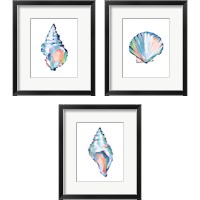 Framed Pop Shell Study 3 Piece Framed Art Print Set