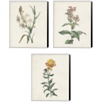 Framed Classic Botanicals 3 Piece Canvas Print Set