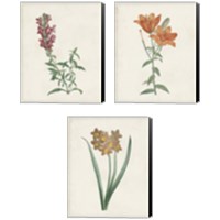 Framed Classic Botanicals 3 Piece Canvas Print Set