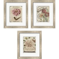 Framed 'Vintage Seed Packets 3 Piece Framed Art Print Set' border=