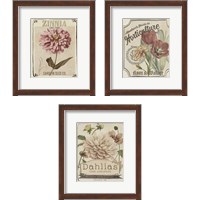 Framed 'Vintage Seed Packets 3 Piece Framed Art Print Set' border=