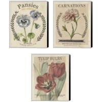 Framed Vintage Seed Packets 3 Piece Canvas Print Set