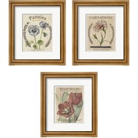 Framed 'Vintage Seed Packets 3 Piece Framed Art Print Set' border=