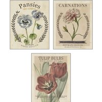 Framed 'Vintage Seed Packets 3 Piece Art Print Set' border=