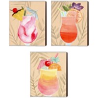 Framed 'Tropical Cocktail 3 Piece Canvas Print Set' border=