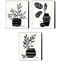 Framed Botanical Sketches 3 Piece Canvas Print Set