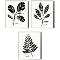 Framed 'Botanical Sketches 3 Piece Canvas Print Set' border=