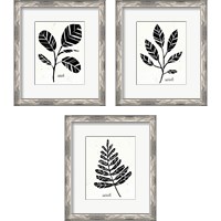 Framed Botanical Sketches 3 Piece Framed Art Print Set