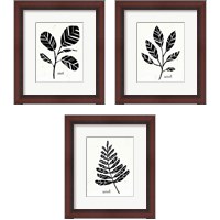 Framed Botanical Sketches 3 Piece Framed Art Print Set