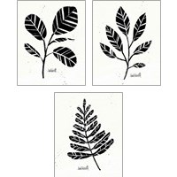 Framed Botanical Sketches 3 Piece Art Print Set