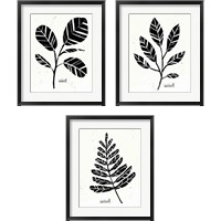 Framed 'Botanical Sketches 3 Piece Framed Art Print Set' border=