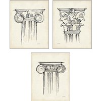 Framed 'Museum Sketches  3 Piece Art Print Set' border=