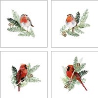 Framed 'Winter Visitor 4 Piece Art Print Set' border=