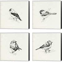 Framed 'Bird Feeder Friends 4 Piece Canvas Print Set' border=