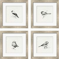 Framed 'Bird Feeder Friends 4 Piece Framed Art Print Set' border=