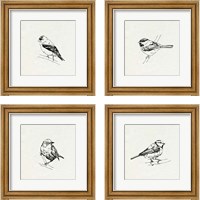 Framed Bird Feeder Friends 4 Piece Framed Art Print Set