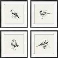 Framed Bird Feeder Friends 4 Piece Framed Art Print Set