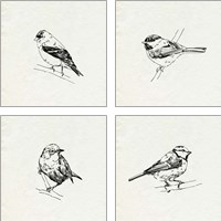 Framed 'Bird Feeder Friends 4 Piece Art Print Set' border=
