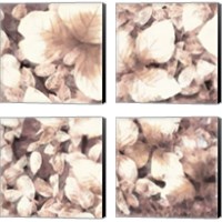 Framed Blush Shaded Leaves 4 Piece Canvas Print Set