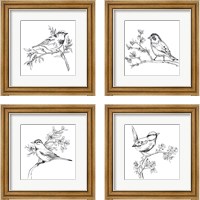 Framed Simple Songbird Sketches 4 Piece Framed Art Print Set