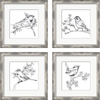 Framed 'Simple Songbird Sketches 4 Piece Framed Art Print Set' border=