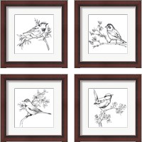 Framed Simple Songbird Sketches 4 Piece Framed Art Print Set