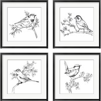 Framed 'Simple Songbird Sketches 4 Piece Framed Art Print Set' border=