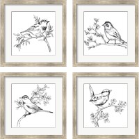 Framed Simple Songbird Sketches 4 Piece Framed Art Print Set