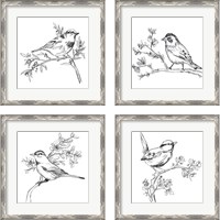 Framed 'Simple Songbird Sketches 4 Piece Framed Art Print Set' border=