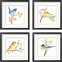Framed 'Springtime Songbirds 4 Piece Framed Art Print Set' border=