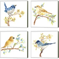 Framed 'Springtime Songbirds 4 Piece Canvas Print Set' border=