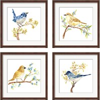 Framed 'Springtime Songbirds 4 Piece Framed Art Print Set' border=