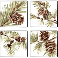 Framed 'Simple Pine Cone 4 Piece Canvas Print Set' border=