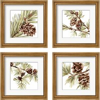 Framed Simple Pine Cone 4 Piece Framed Art Print Set